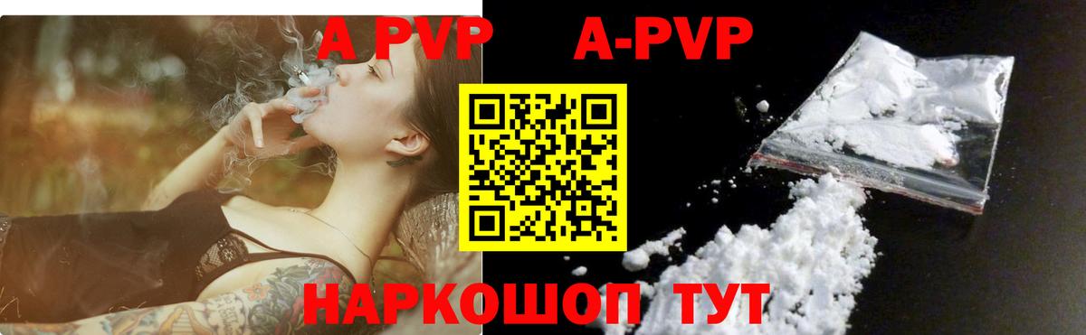 Шали  Альфа ПВП СК КРИС  Вход с VPN  Альфа ПВП СК 