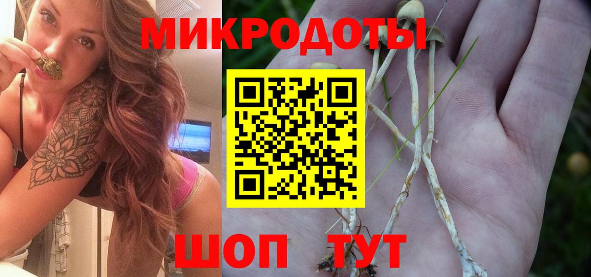 Шали  наркотики  Псилоцибиновые грибы мухоморы  Вход с VPN  Галлюциногенные грибы Cubensis 