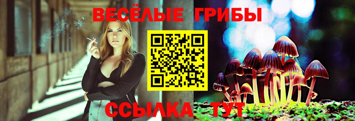 Галлюциногенные грибы прущие грибы Шали
